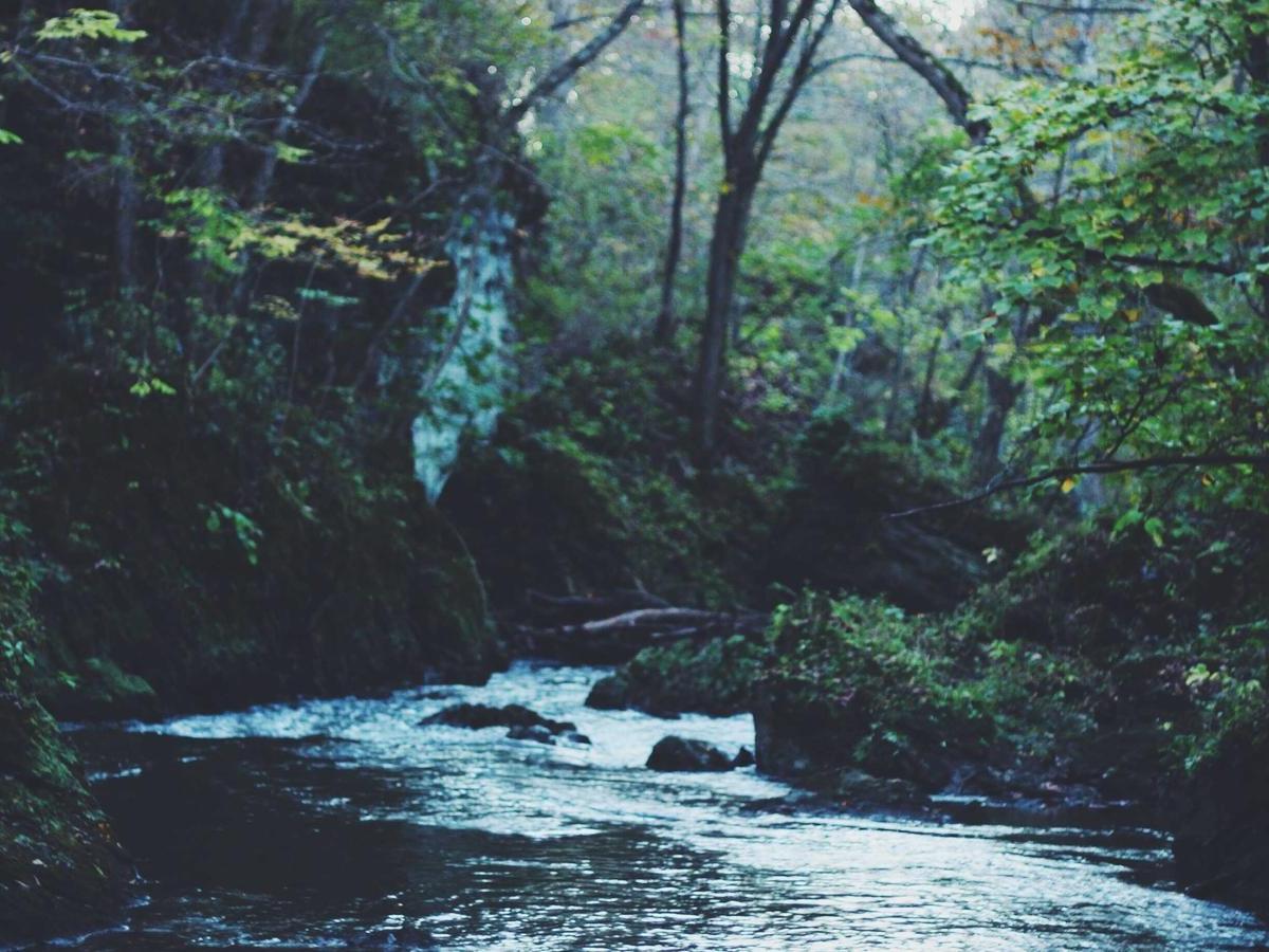 Barra Kaiola