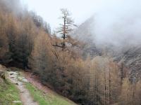 Agroturismo Basoerdi